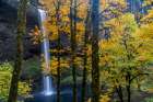USA-Oregon-Silver Falls State Park Tall waterfall and forest in autumn Art Print